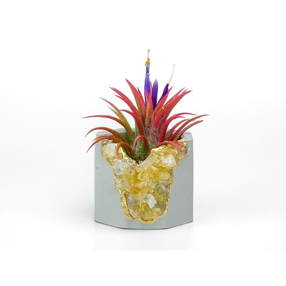 Raw Citrine Succulent Geode Planter Crystal Air Plant Holder